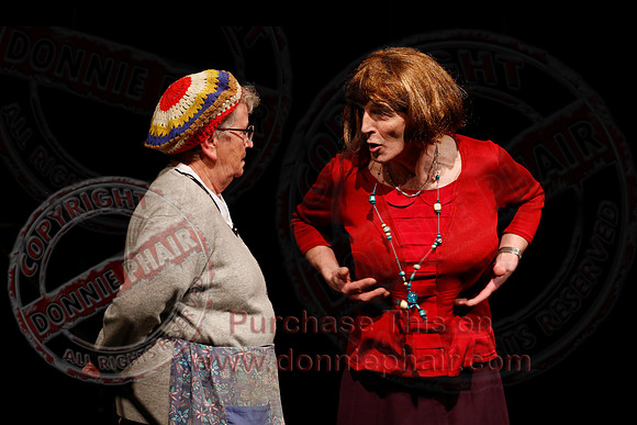 Irish Traditional Show held in the Share Centre Lisnaskea in aid of Knocks Grattans