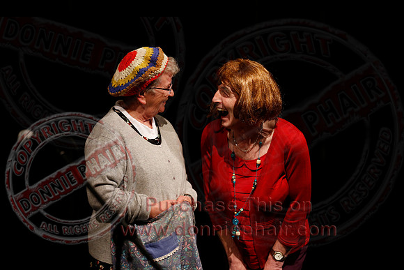 Irish Traditional Show held in the Share Centre Lisnaskea in aid of Knocks Grattans