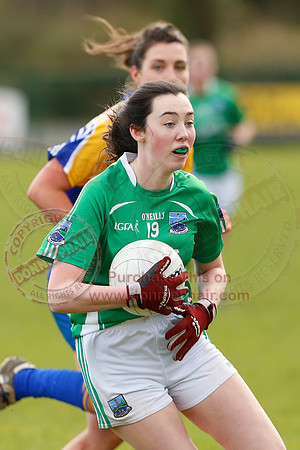 Fermanagh (2-5) V Longford (3-15) in Ladies National GAA Football League Division 4.