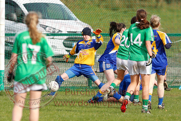 Fermanagh (2-5) V Longford (3-15) in Ladies National GAA Football League Division 4.