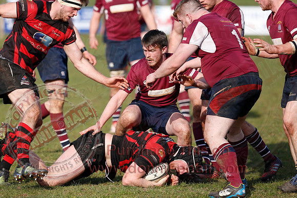 Enniskillen 1st XV (36) V Armagh 2nd XV (5) in Rugby Towns Cup Semi-Final.