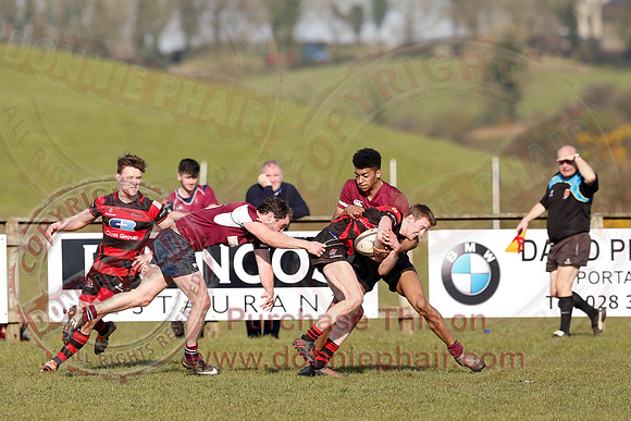 Enniskillen 1st XV (36) V Armagh 2nd XV (5) in Rugby Towns Cup Semi-Final.