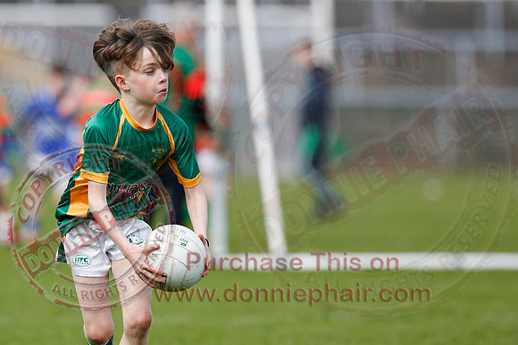 Fermanagh (0-13) v Derry (2-8) in Division 2 Allianz GAA Football League, Round 7.