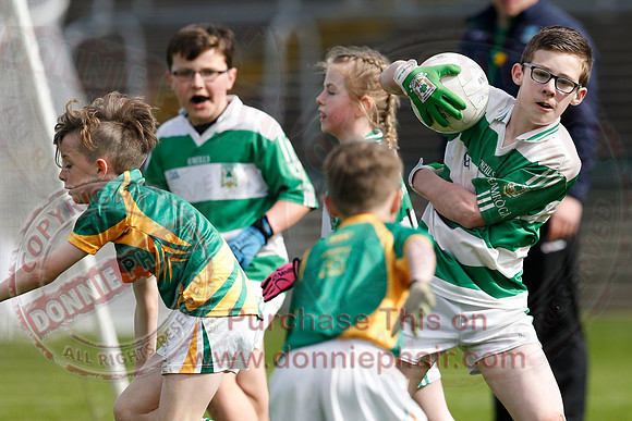 Fermanagh (0-13) v Derry (2-8) in Division 2 Allianz GAA Football League, Round 7.