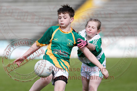 Fermanagh (0-13) v Derry (2-8) in Division 2 Allianz GAA Football League, Round 7.