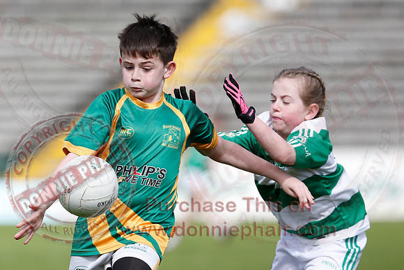 Fermanagh (0-13) v Derry (2-8) in Division 2 Allianz GAA Football League, Round 7.