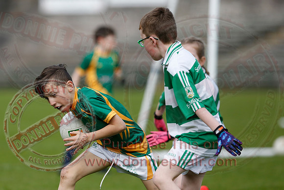 Fermanagh (0-13) v Derry (2-8) in Division 2 Allianz GAA Football League, Round 7.