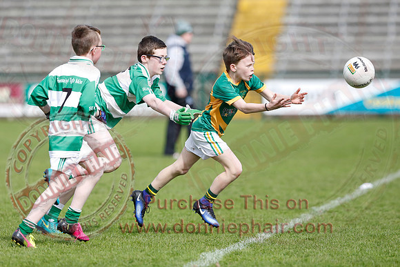 Fermanagh (0-13) v Derry (2-8) in Division 2 Allianz GAA Football League, Round 7.
