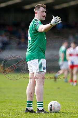 Fermanagh (0-13) v Derry (2-8) in Division 2 Allianz GAA Football League, Round 7.