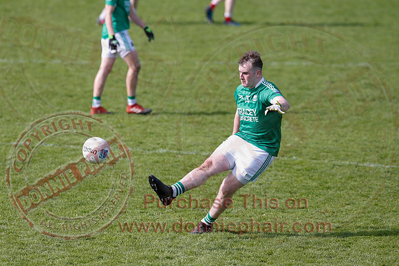 Fermanagh (0-13) v Derry (2-8) in Division 2 Allianz GAA Football League, Round 7.