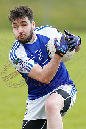 Roslea (3-04) V Devenish (1-12) in GAA Senior Football League Division One.