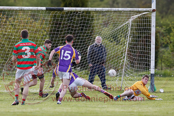 Lisnaskea (0-14) V Derrygonnelly (4-16) in GAA Senior Football League Division One.