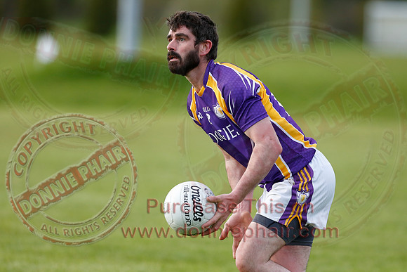 Lisnaskea (0-14) V Derrygonnelly (4-16) in GAA Senior Football League Division One.
