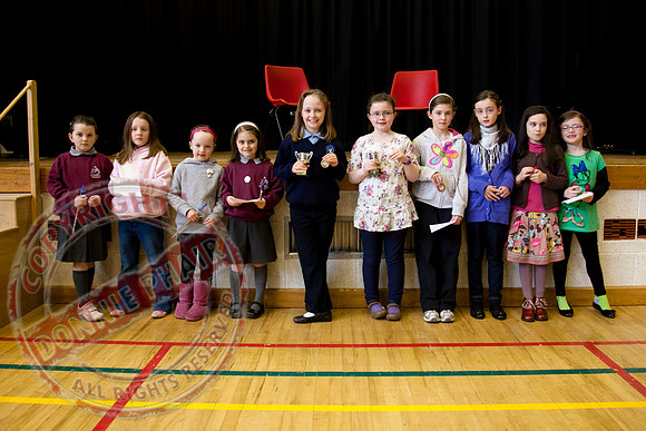 Fermanagh Feis in Erne Integrated School.