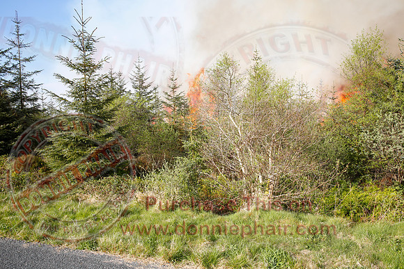 Gorse and Forest Fire at Mullaghfad Forest.