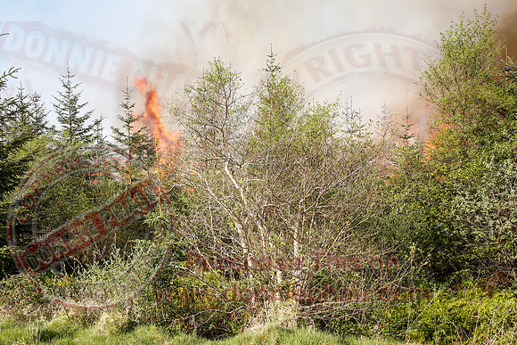 Gorse and Forest Fire at Mullaghfad Forest.