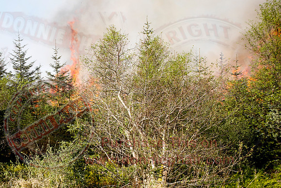 Gorse and Forest Fire at Mullaghfad Forest.
