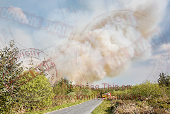 Gorse and Forest Fire at Mullaghfad Forest.