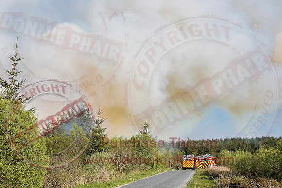 Gorse and Forest Fire at Mullaghfad Forest.