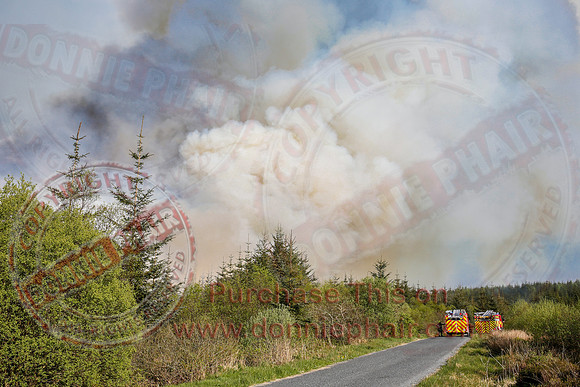Gorse and Forest Fire at Mullaghfad Forest.