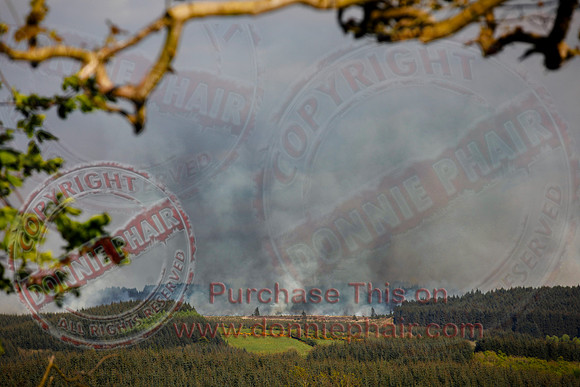 Gorse and Forest Fire at Mullaghfad Forest.