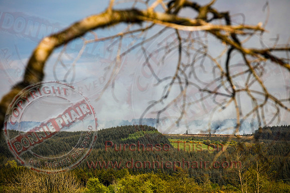 Gorse and Forest Fire at Mullaghfad Forest.