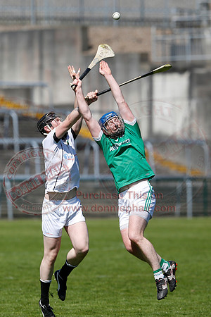 Fermanagh 3-09) V Warwickshire (6-16) in Lory Meagher Hurling Cup.