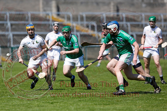 Fermanagh 3-09) V Warwickshire (6-16) in Lory Meagher Hurling Cup.