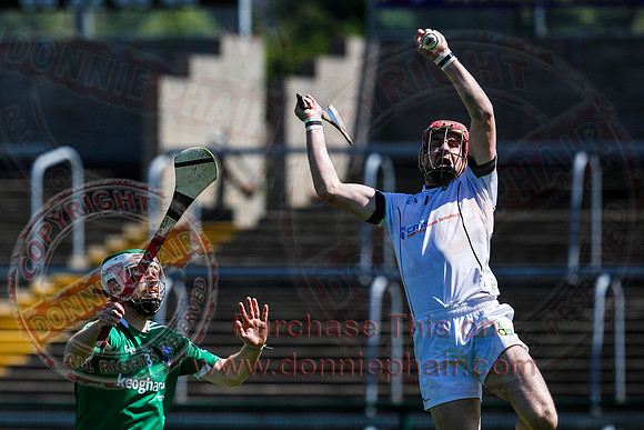 Fermanagh 3-09) V Warwickshire (6-16) in Lory Meagher Hurling Cup.