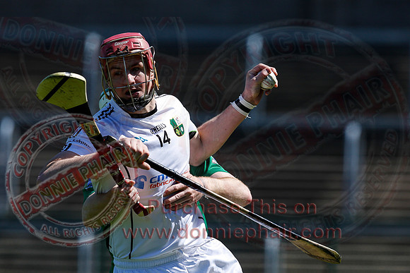 Fermanagh 3-09) V Warwickshire (6-16) in Lory Meagher Hurling Cup.