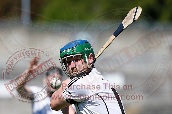 Fermanagh 3-09) V Warwickshire (6-16) in Lory Meagher Hurling Cup.