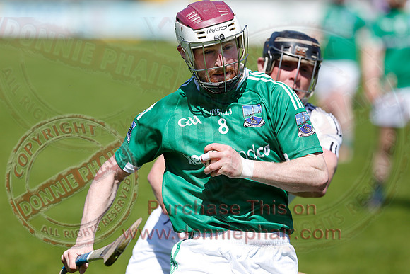 Fermanagh 3-09) V Warwickshire (6-16) in Lory Meagher Hurling Cup.