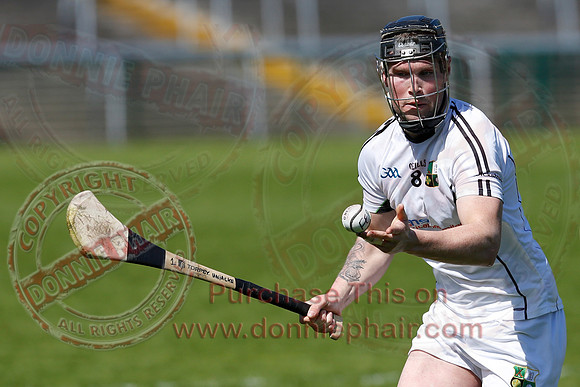 Fermanagh 3-09) V Warwickshire (6-16) in Lory Meagher Hurling Cup.