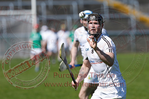 Fermanagh 3-09) V Warwickshire (6-16) in Lory Meagher Hurling Cup.