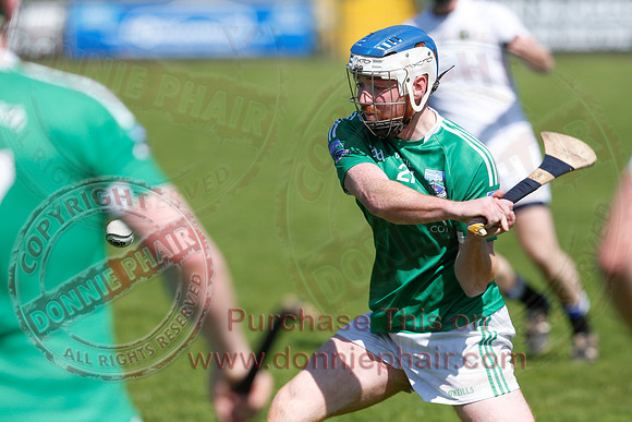 Fermanagh 3-09) V Warwickshire (6-16) in Lory Meagher Hurling Cup.