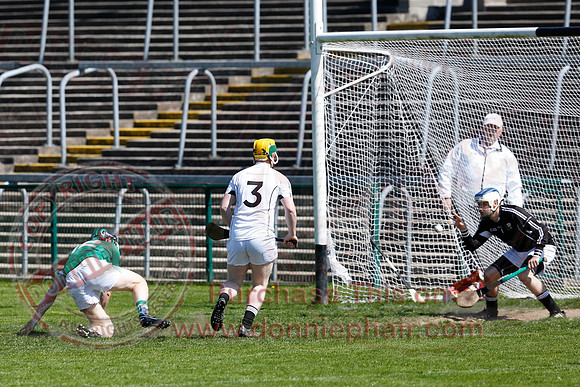Fermanagh 3-09) V Warwickshire (6-16) in Lory Meagher Hurling Cup.