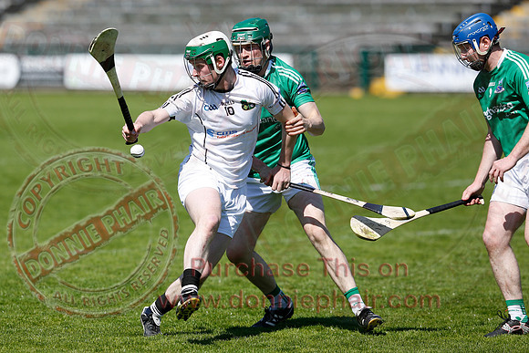 Fermanagh 3-09) V Warwickshire (6-16) in Lory Meagher Hurling Cup.