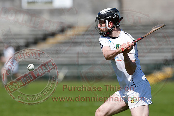 Fermanagh 3-09) V Warwickshire (6-16) in Lory Meagher Hurling Cup.