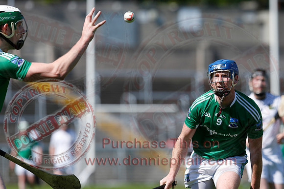 Fermanagh 3-09) V Warwickshire (6-16) in Lory Meagher Hurling Cup.