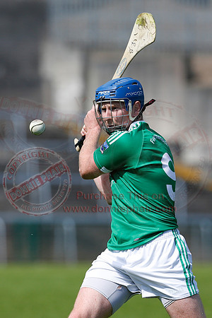 Fermanagh 3-09) V Warwickshire (6-16) in Lory Meagher Hurling Cup.