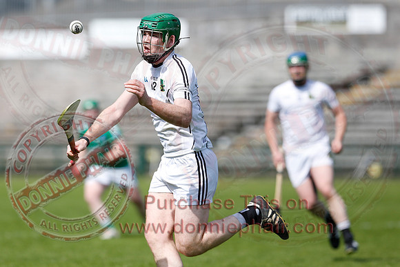 Fermanagh 3-09) V Warwickshire (6-16) in Lory Meagher Hurling Cup.