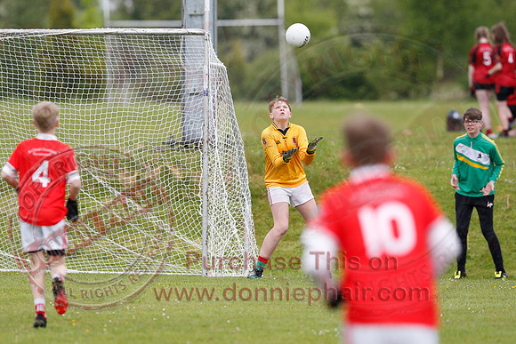 Brian óg Sevens GAA Tournament.