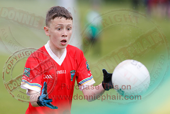 Brian óg Sevens GAA Tournament.