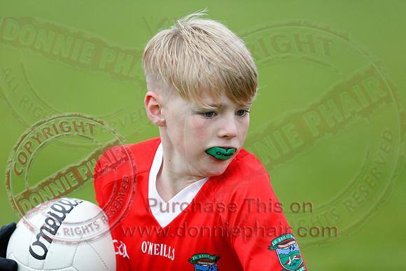 Brian óg Sevens GAA Tournament.