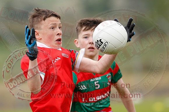 Brian óg Sevens GAA Tournament.