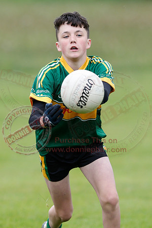 Brian óg Sevens GAA Tournament.