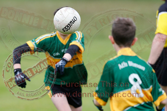 Brian óg Sevens GAA Tournament.