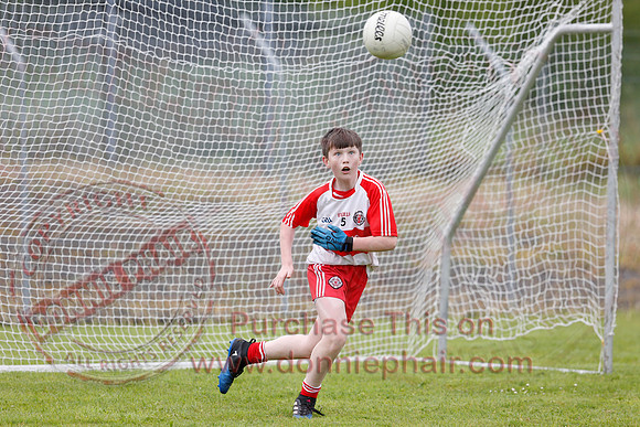 Brian óg Sevens GAA Tournament.