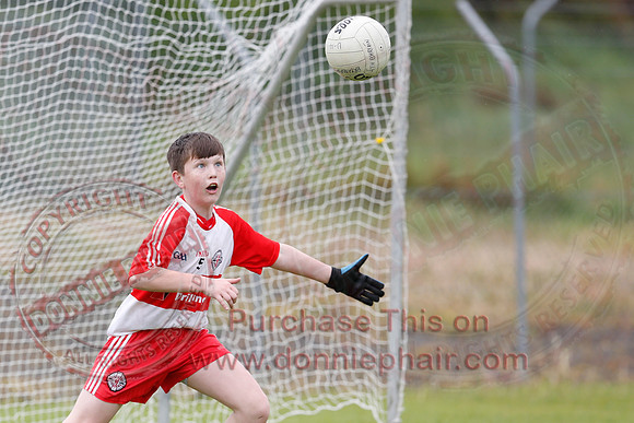 Brian óg Sevens GAA Tournament.