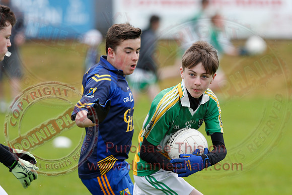 Brian óg Sevens GAA Tournament.